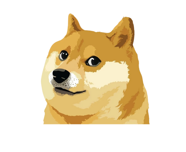 DOGE